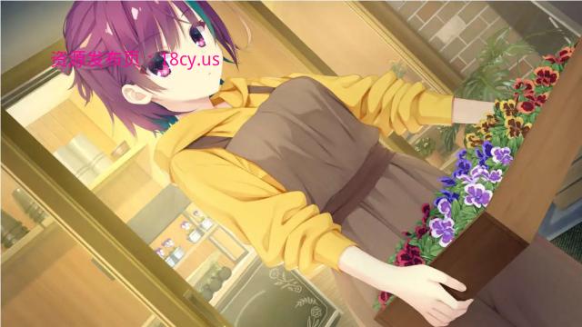 BandiView_预览图_03.jpg