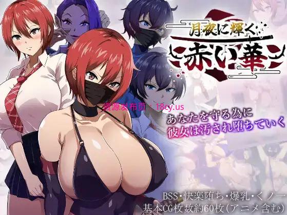 BandiView_预览图_01.jpg